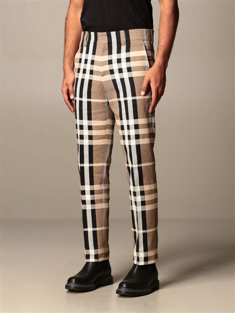 burberry pants price